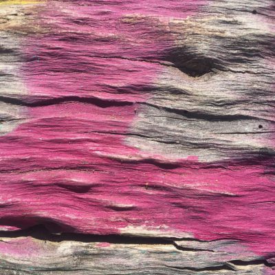 Bright pink spray paint over old dead wood