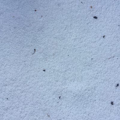Ground covered in tons of small white balls