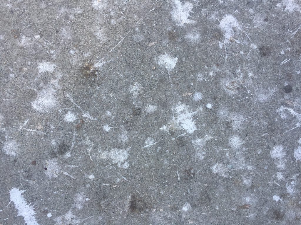 Concrete covered in bird shit