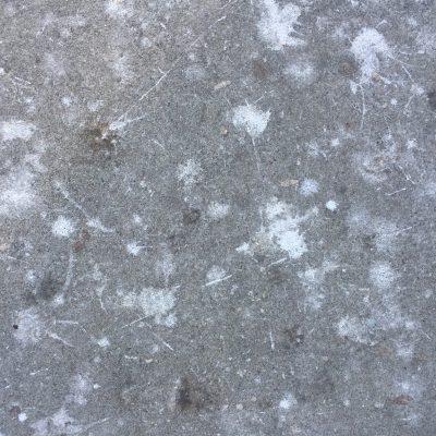 Concrete covered in bird shit