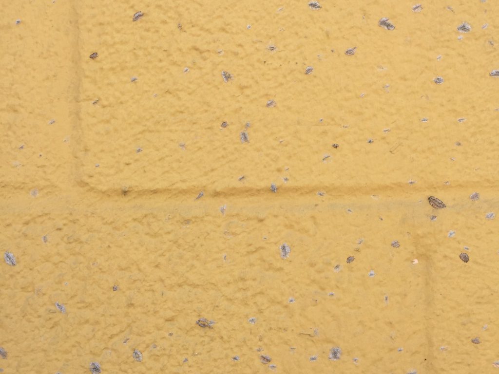 Close up of cinderblocks painted yellow