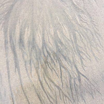 Dark streaks over wet tan sand
