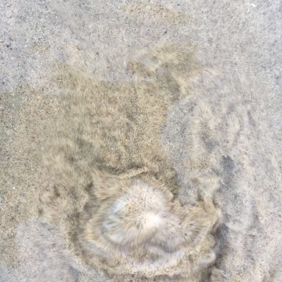 Ocean water swirling sand