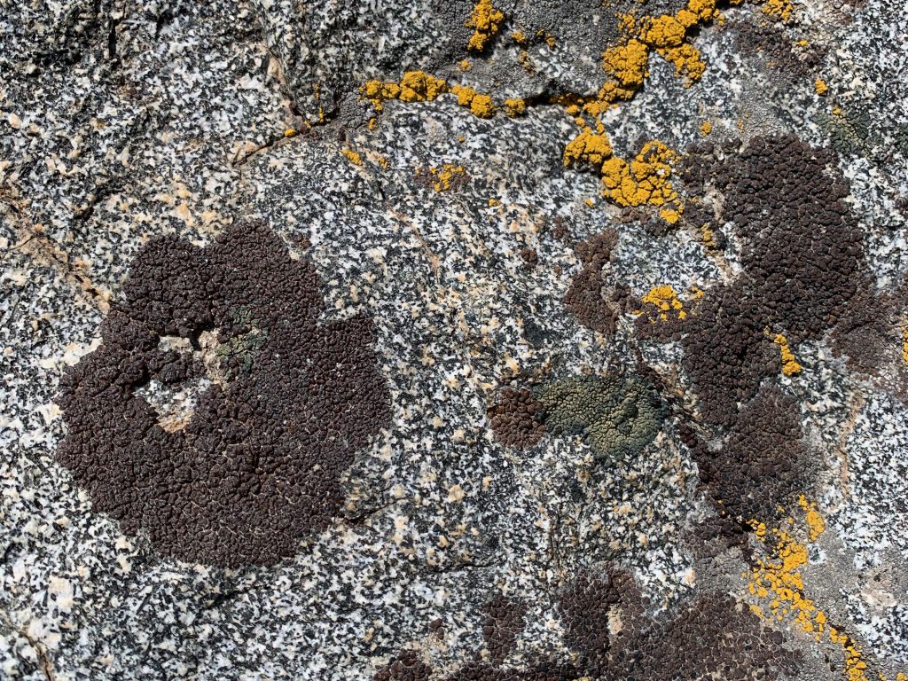 Close up of granite with bright yellow area