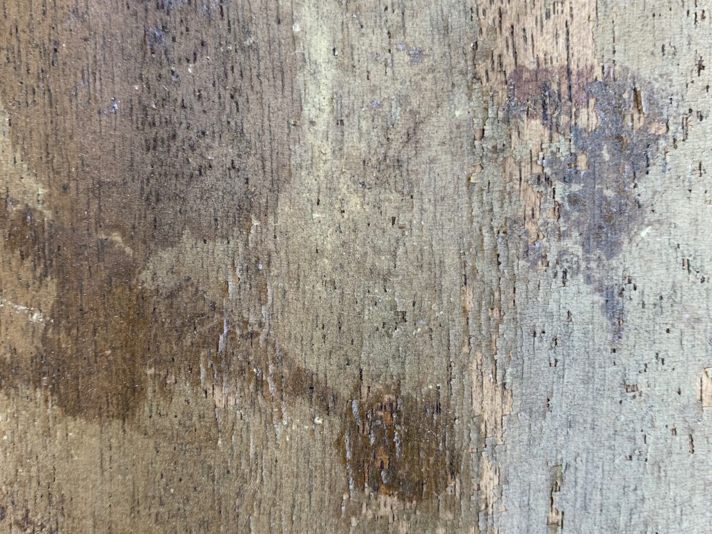 Old and crusty plywood
