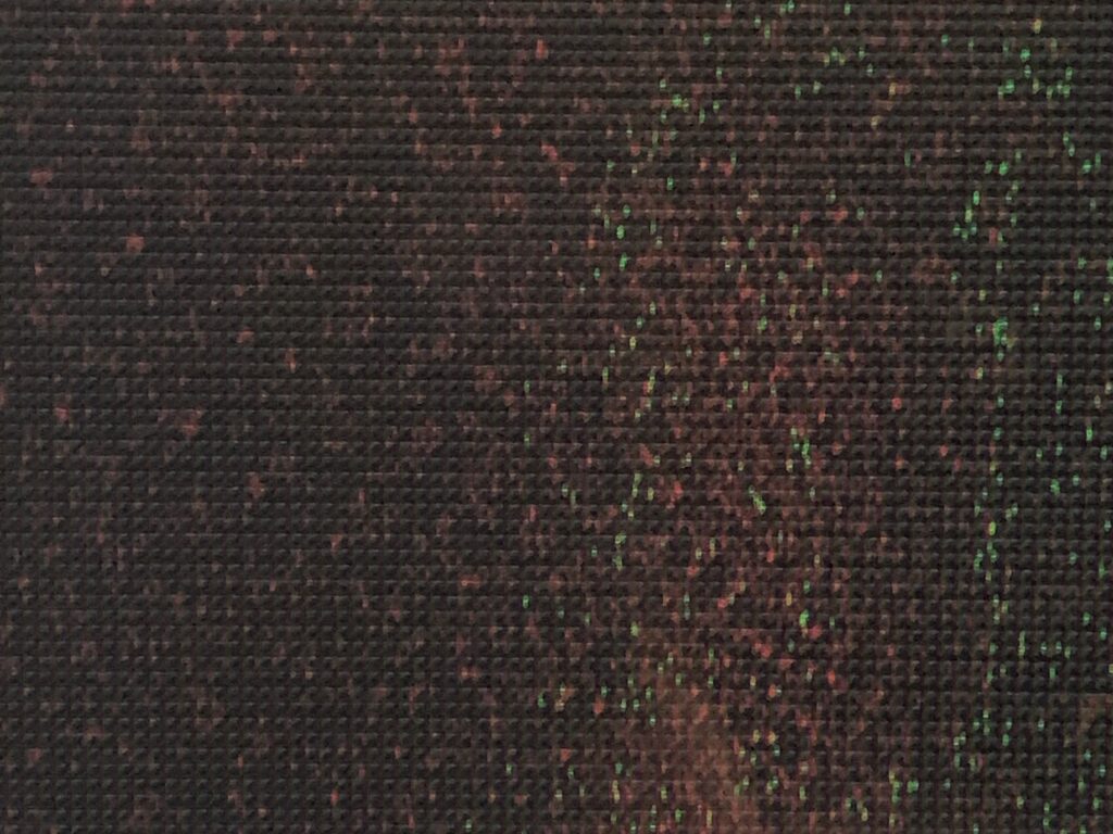 Dull black grid with red and green blurred pixels