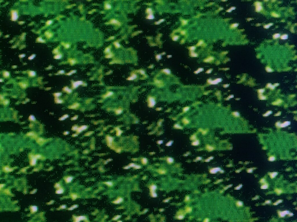 Fractal green colors over black LED pixels