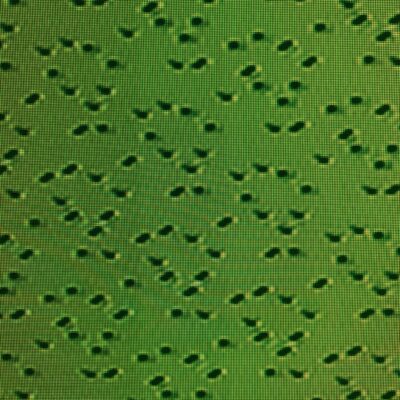 Pattern of dark green shapes over light green pixels