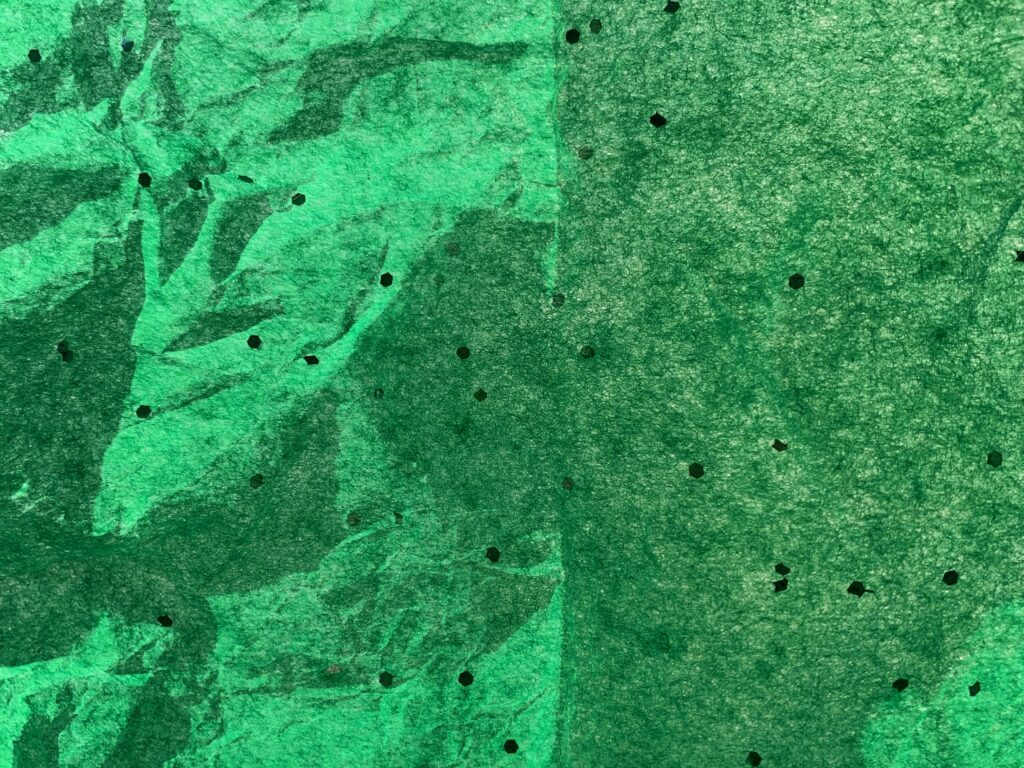 Back lighted thin green paper with black spots