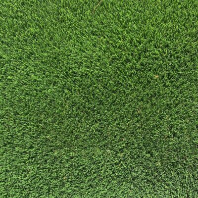 Close up of short green grass