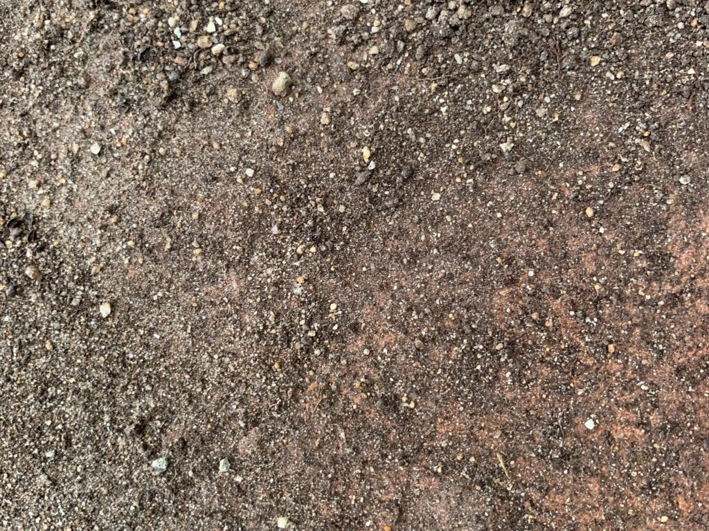 Light brown and gray gravel covered dirt ground