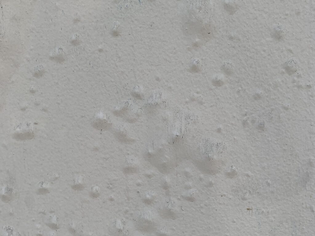 White paint over stucco