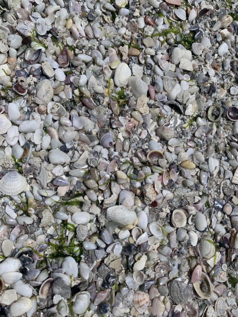 Stock Rocks everytexture.com-stock-rocks-texture-00111 | Free Textures