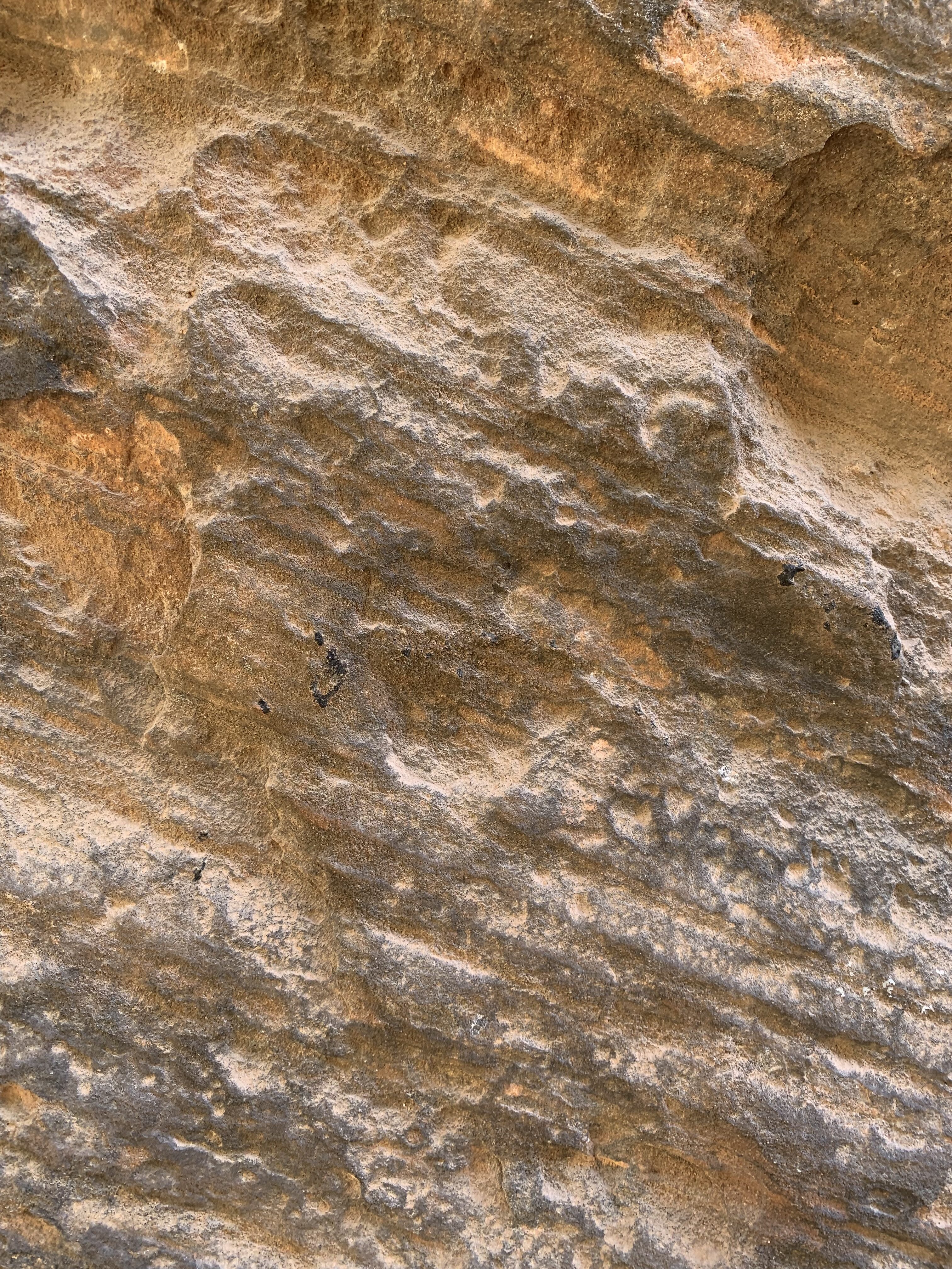 Sand stone rock face